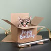 Grey Tabby Cat Card; Birthday, Personalised or Blank. Cat in a box gift card