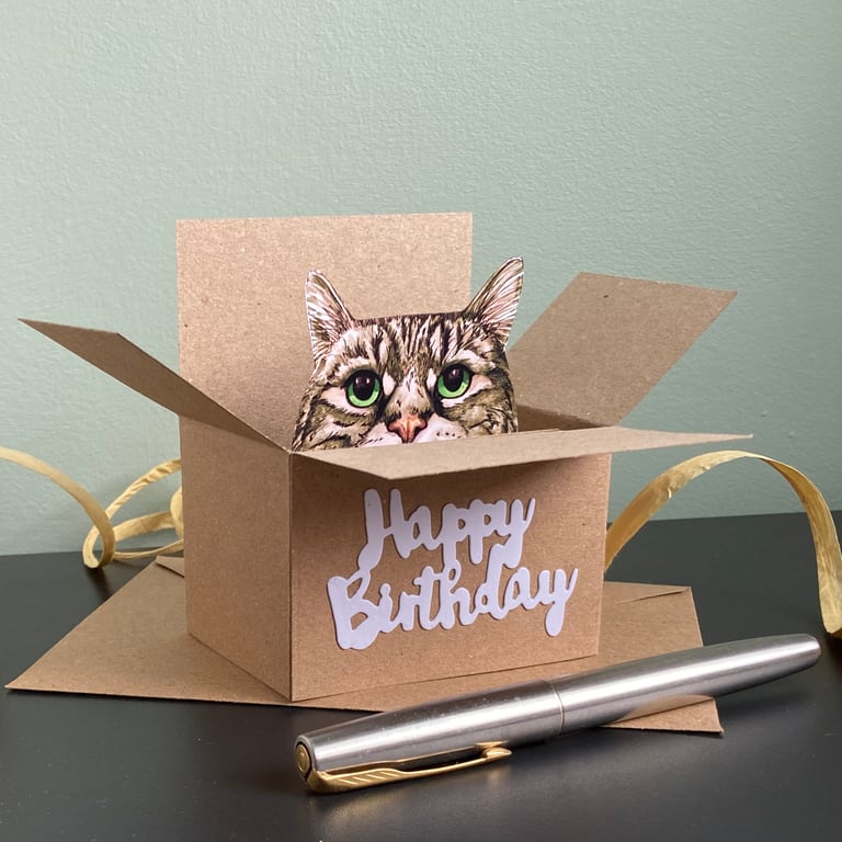 Cat Birthday Card. Grey tabby cat box card. Birthday gift card holder cat lovers