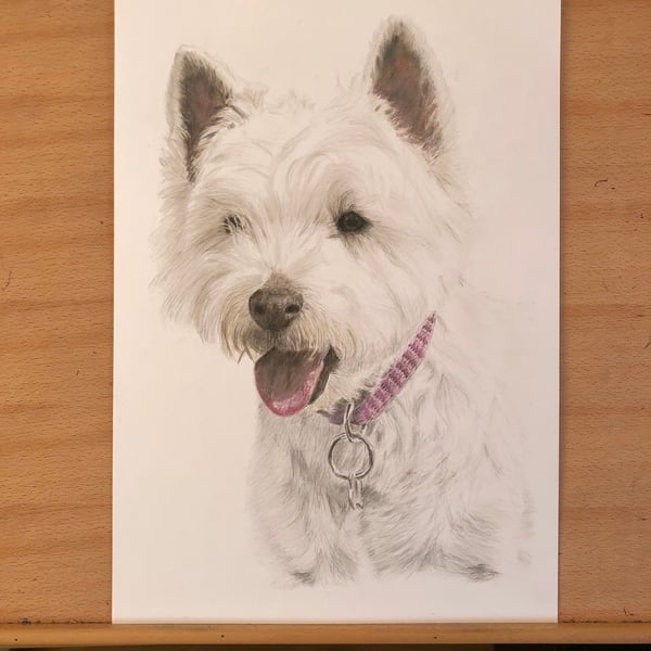 A3 Custom Dog Portrait made with Coloured Pencil