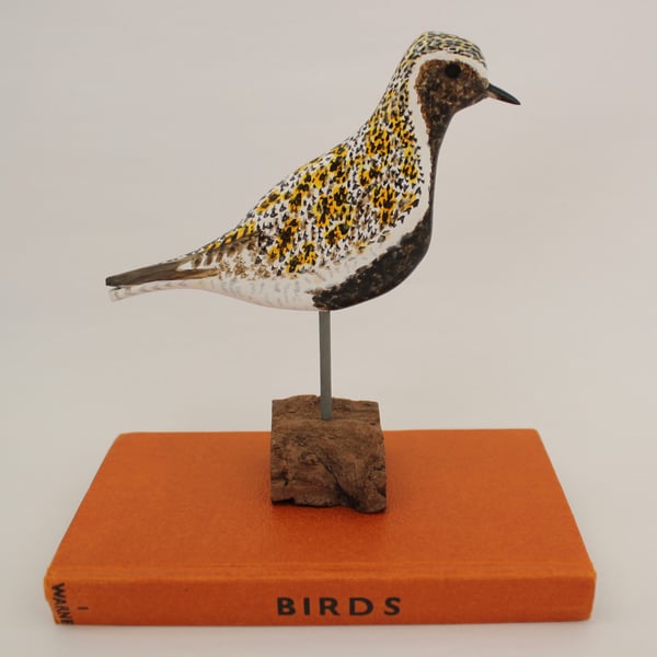 Golden plover