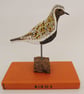 Golden plover - Image 1