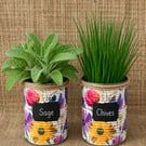 Summer meadow floral grow your own herb gift set 