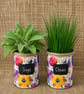 Summer meadow floral grow your own herb gift set 