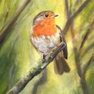 Original Robin Acrylic Painting, Robin Bird Art