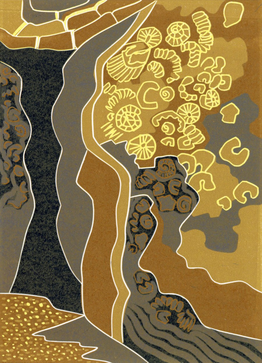 Long barrow - `Traces Shell-Shapes`.