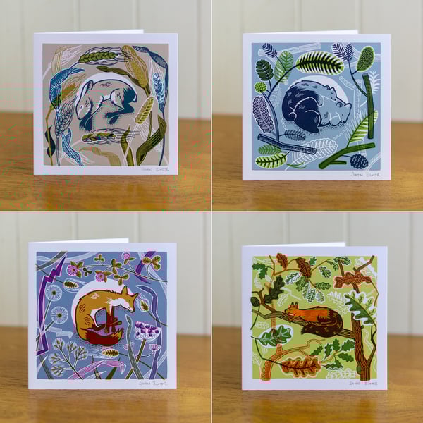 All four Sleeping Animal cards, blank inside