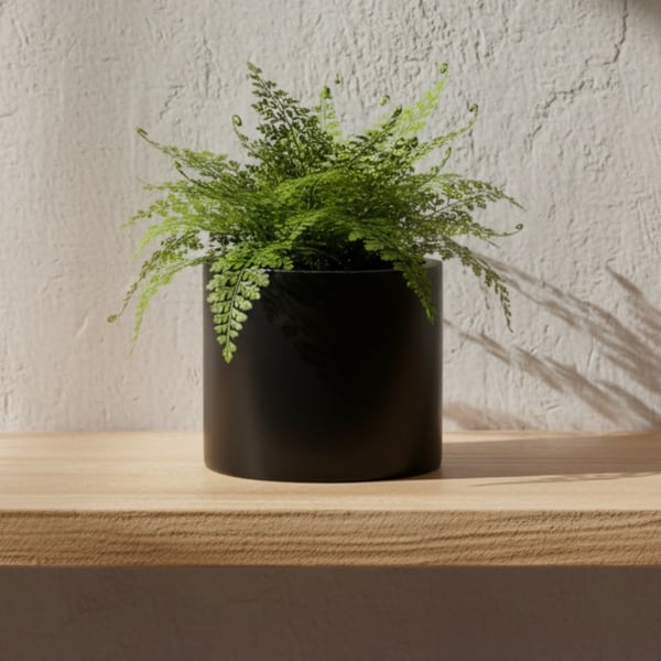 Large Glossy Black Hand Painted Plant Pot 15 cm