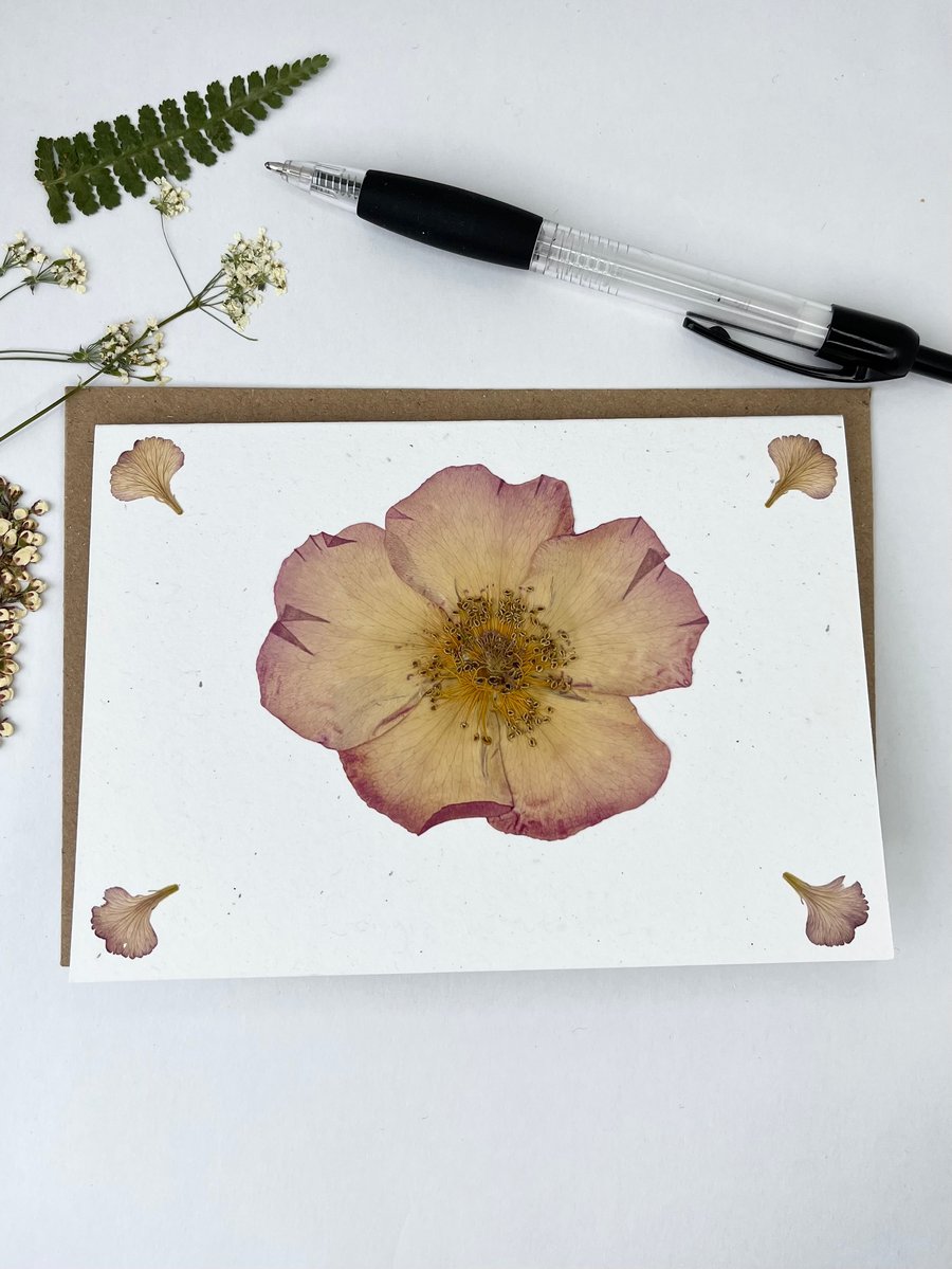 Handmade Real Pressed Rose Greeting Card, Wedding, Anniversary, Birthday