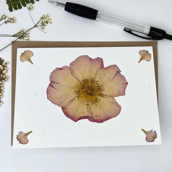 Handmade Real Pressed Rose Greeting Card, Wedding, Anniversary, Birthday