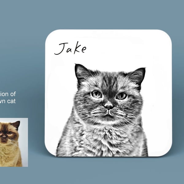 Personalised Cat Illustration Coaster - Cat Memorial or Pet Owner Gift