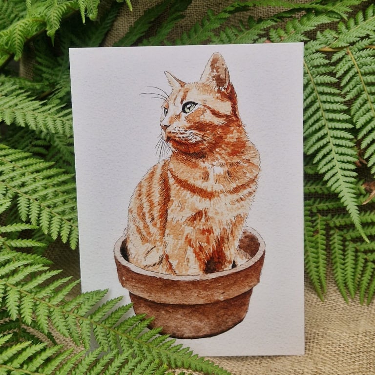 Potted cat card