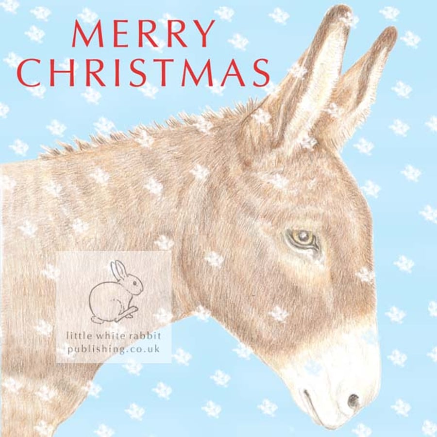 Dougal the Donkey - Christmas Card