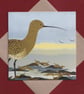 Greetings cards - birds of the river and estuary - pack of 4 - Image 2