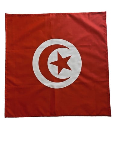 23" x 23" 59 x 59 cm Tunisia Tunisian Flag Bandana Head Scarf Neck Tie