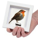 Robin, 3D fabric robin picture framed, gift, robin ornament