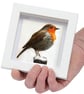 Robin, 3D fabric robin picture framed, gift, robin ornament