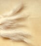 PURE CASHMERE FIBRE TOP – CREAM  - Image 3
