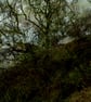 'Elan Valley 1'  A Welsh Dreaming - Image 4