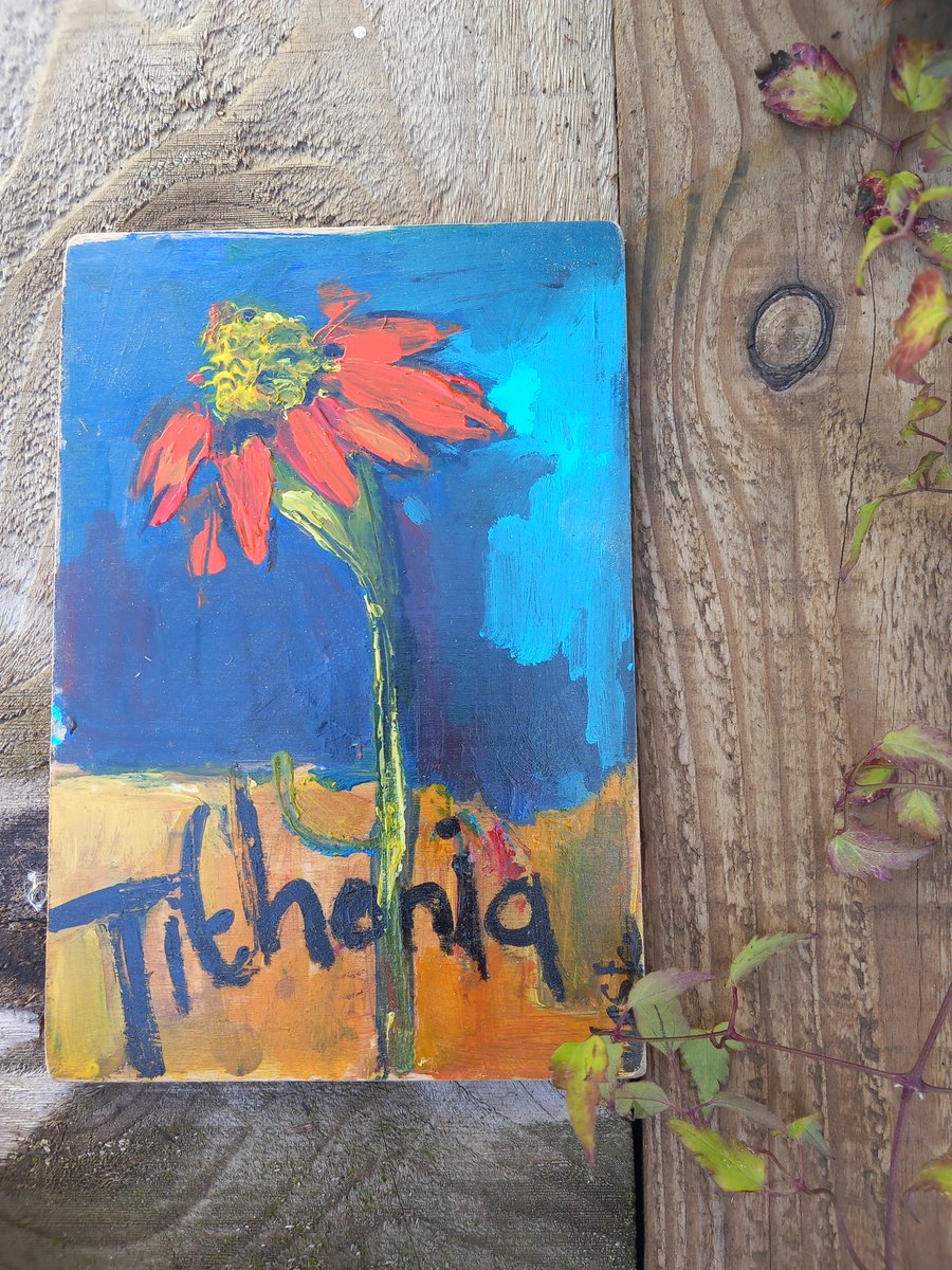 Still life flowers on wood