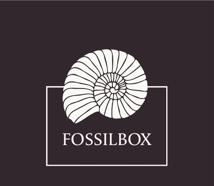 Fossilbox