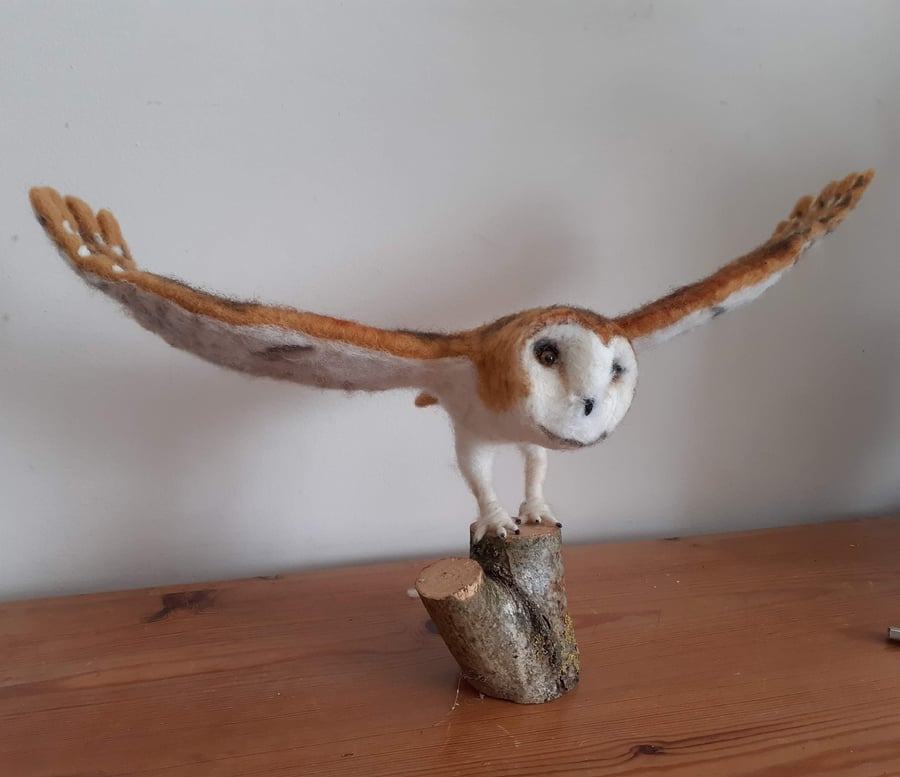 Barn Owl kit, needle felted, felting 