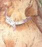 Labrador and Pups cushion - Image 3