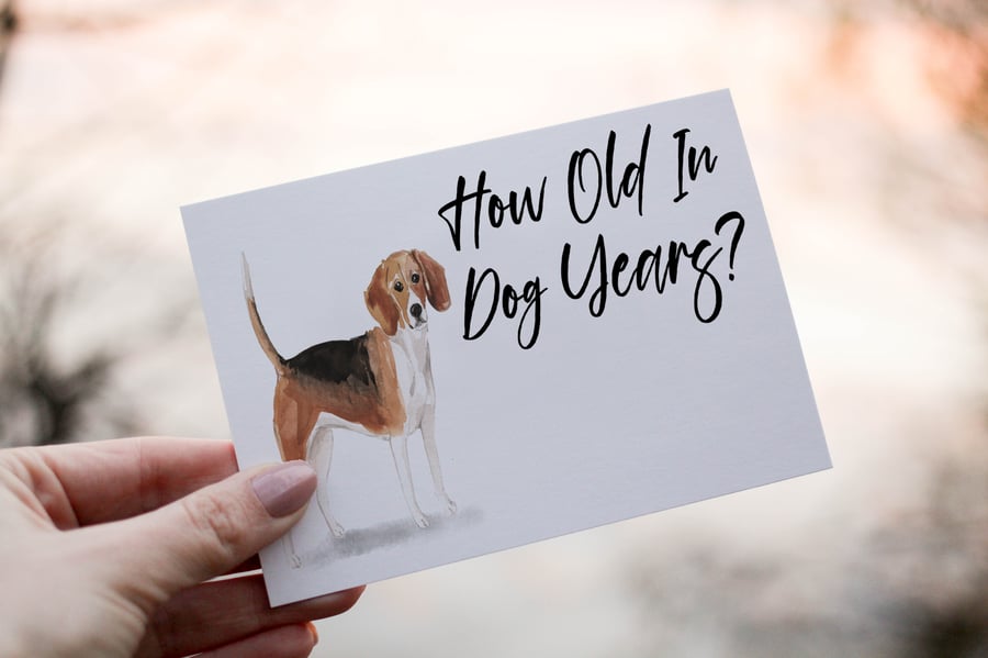 Beagle Dog Birthday Card, Dog Birthday Card, Personalized