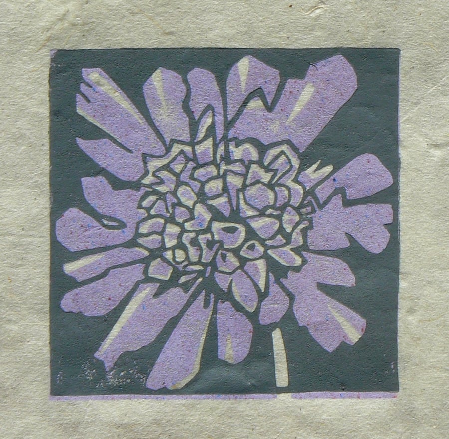Scabious mini linocut print