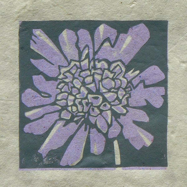 Scabious mini linocut print