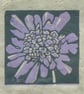 Scabious mini linocut print - Image 1