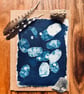 Cyanotype Honesty Seed-Heads 2 - Mounted Design - Card with envelope