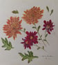 SUMMER FLOWERS 1
