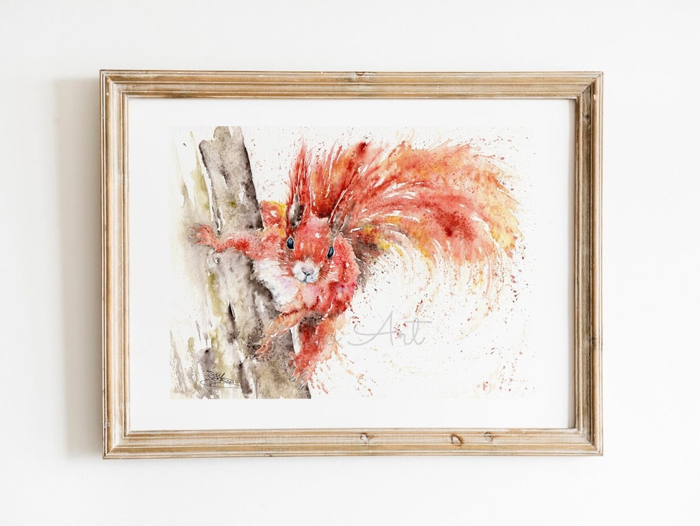 Red Squirrel Watercolour Fine Art Print by Sandi Mower