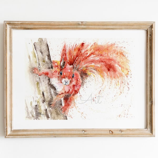 Red Squirrel Watercolour Fine Art Print by Sandi Mower