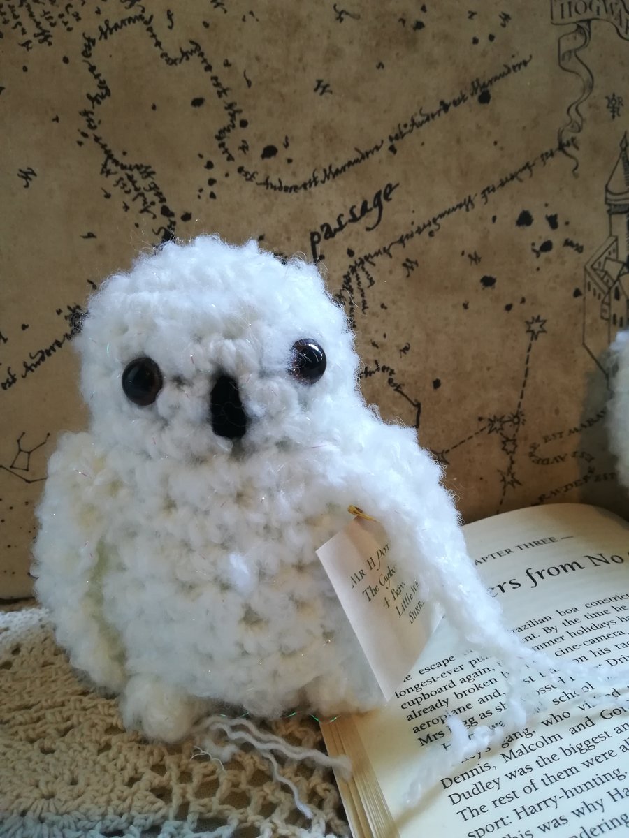 Hedwig with Letter