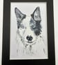 Husky type dog portrait. 5x7" original  - Image 2