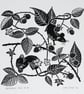 Brambles and Mice hand pulled screen print - Image 2