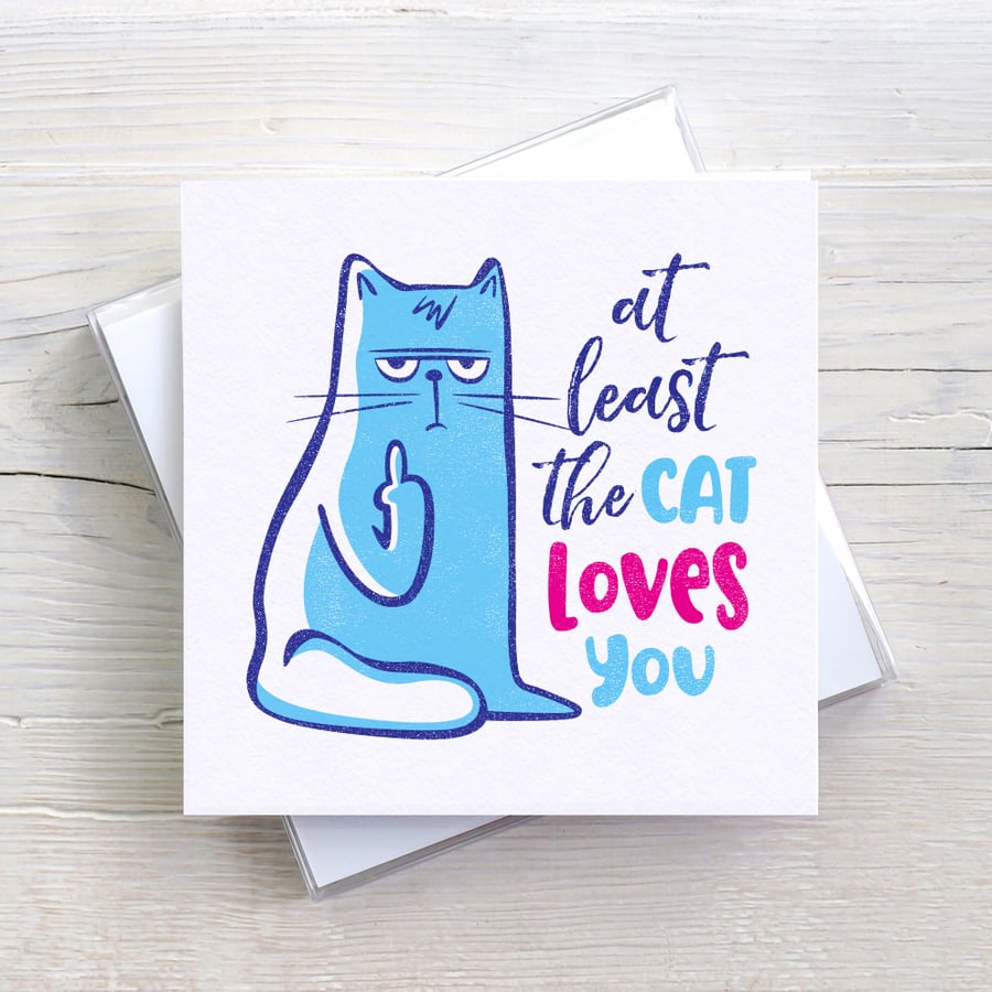 Funny Cat Blank Greetings card