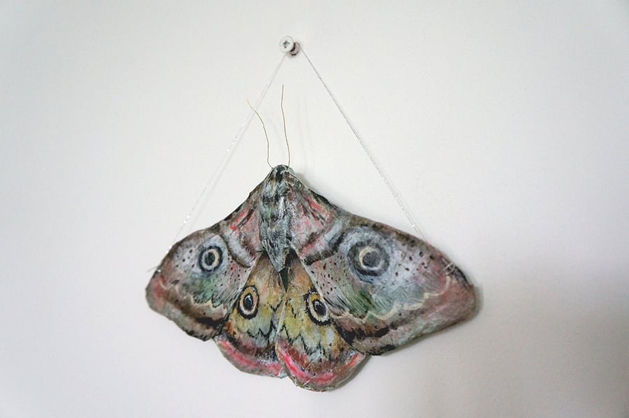 Emperor Moth Papier-Mâché Sculpture