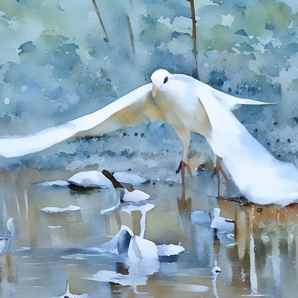White Dove A5 Greeting Card 