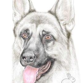 Shadow the German Shepherd - Blank Card