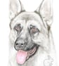 Shadow the German Shepherd - Blank Card - Image 1