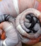 British Birds Inspired Batt Box No.3 for Spinning 200g (Four x 50g) - Image 8