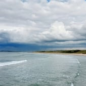 Seasurf&Silver