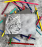 Steely Gaze Blank Greetings Card Printed from Original Art - Image 2