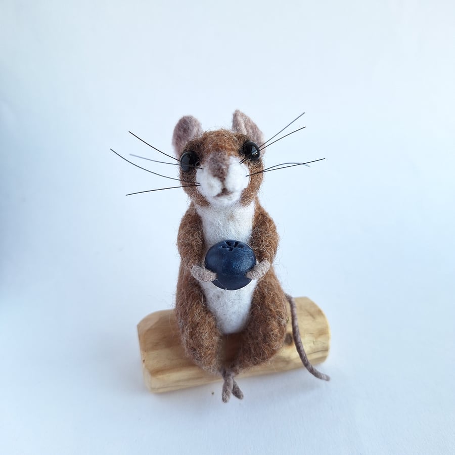 Blueberry Mouse