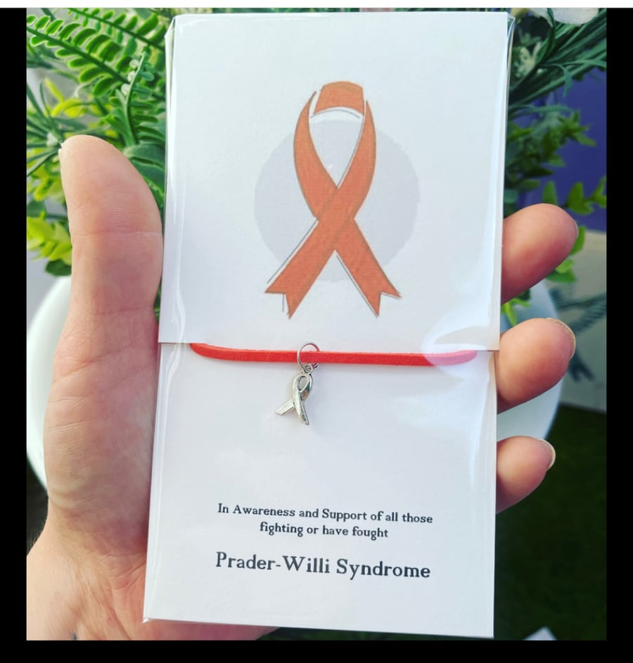Prader-Willi syndrome wish bracelet awareness charm bracelet gift