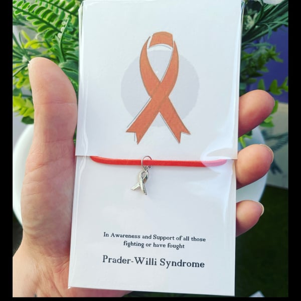 Prader-Willi syndrome wish bracelet awareness charm bracelet gift
