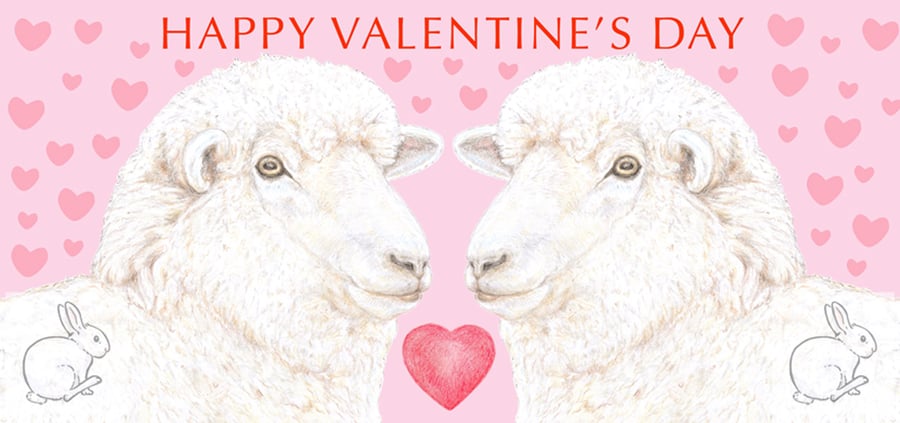Woolly Sheep Nose to Nose -  Valentine Card