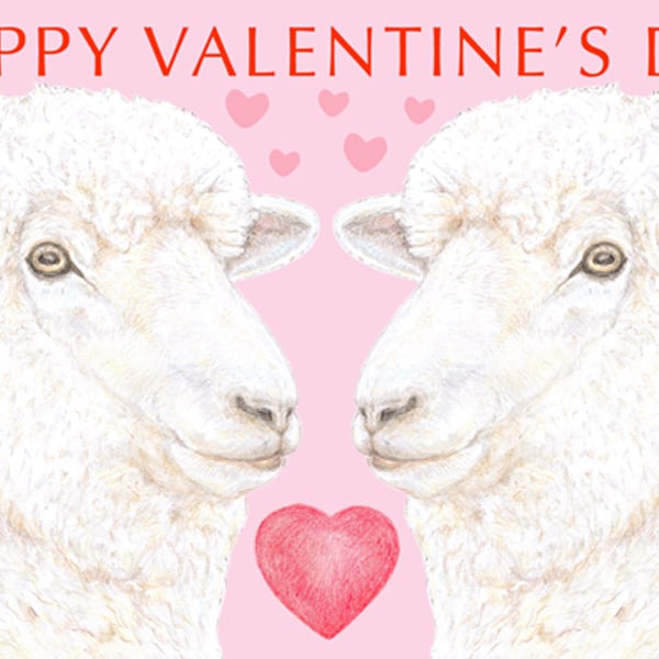 Woolly Sheep Nose to Nose -  Valentine Card